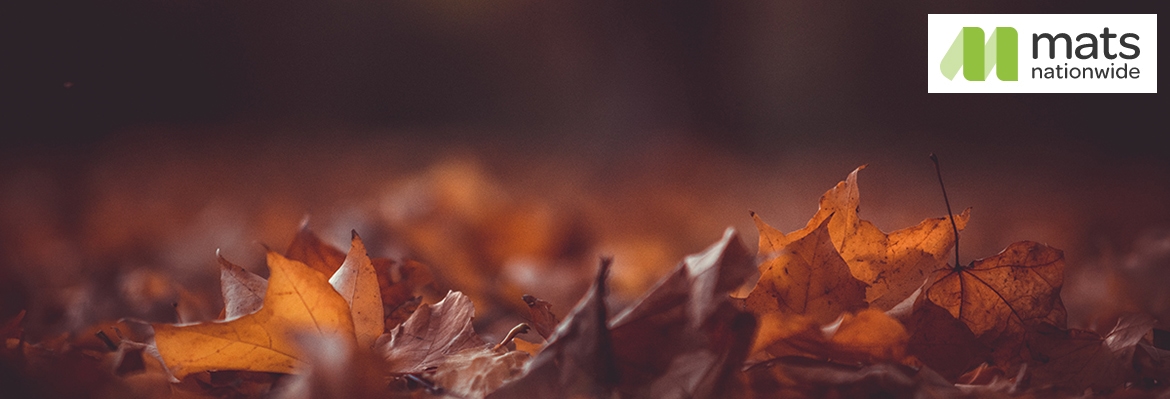 crunchy autumn leaves